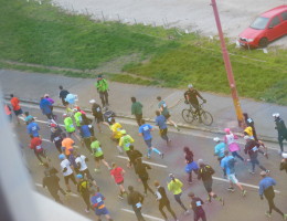 CSOB Maraton - Radko