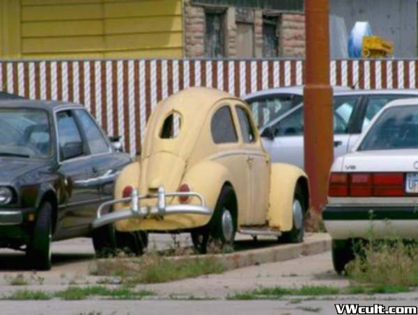 Skinny VW BeetleSkinny VW BeetleSkinny VW BeetleSkinny VW BeetleSkinny VW BeetleSkinny VW BeetleSkinny VW BeetleSkinny VW Beetle