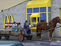 horse in mcdrive
