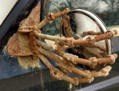 car mirror holder hand