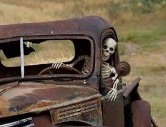skeleton driver