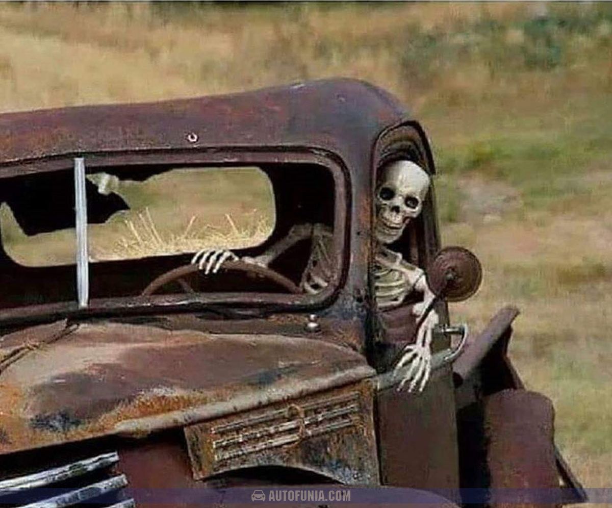 skeleton driver