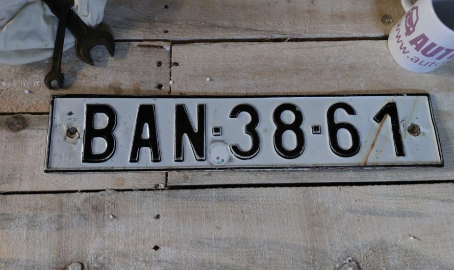 license plate ban-38-61