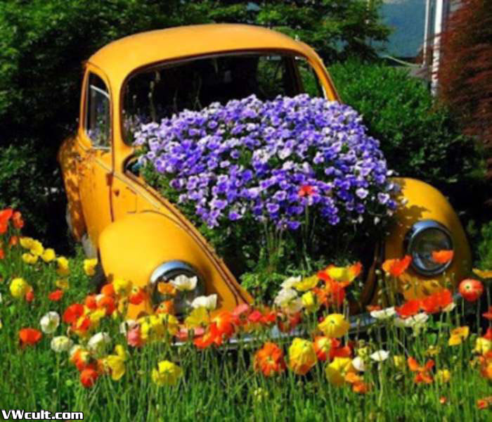 Volkswagen and flowers