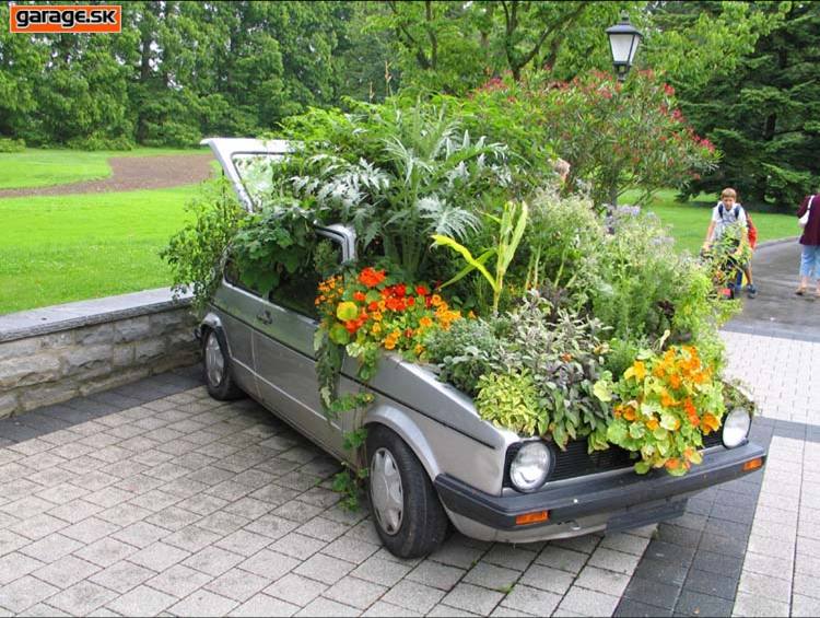 VW Golf for Flowers
