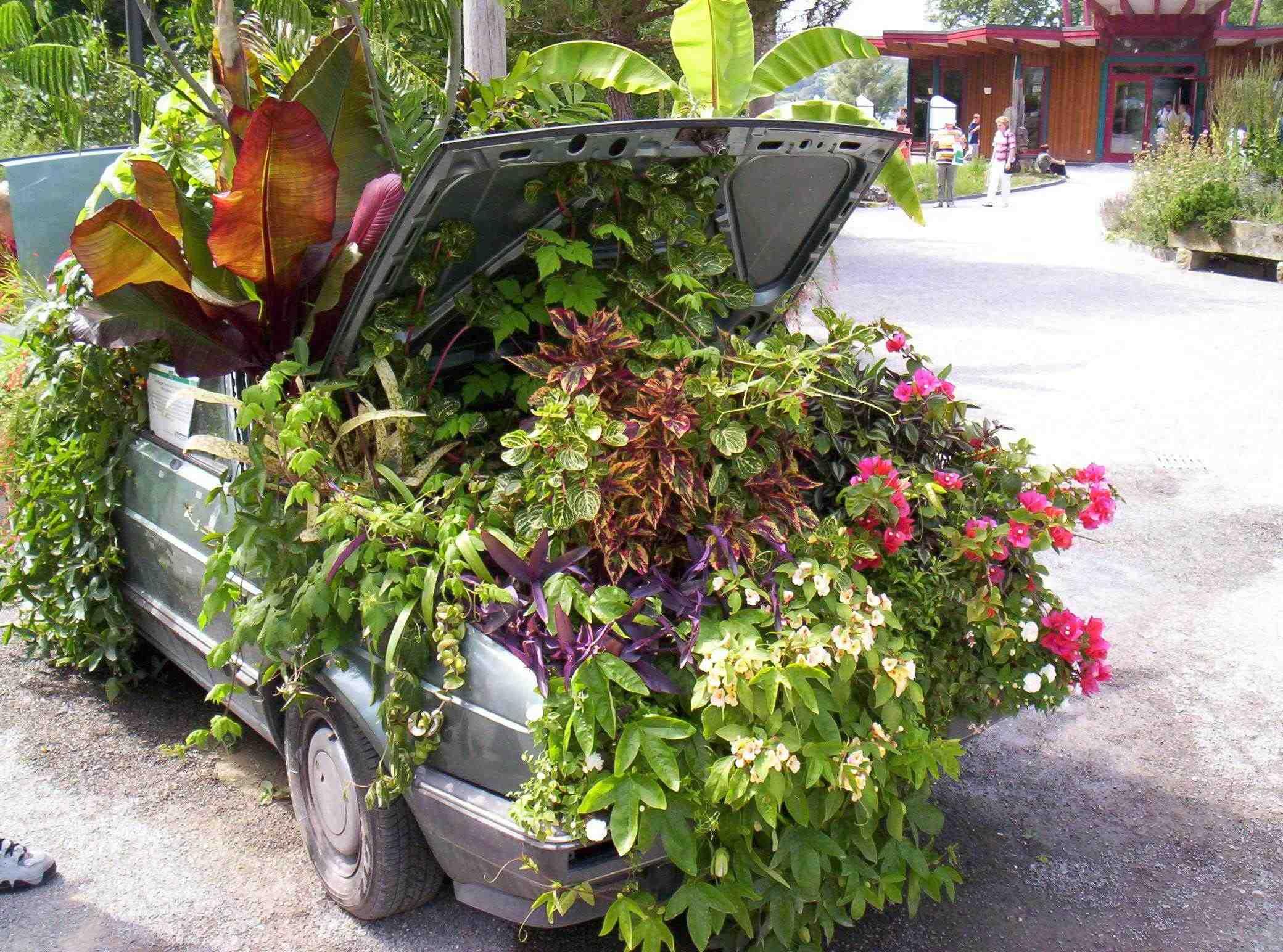 Volkswagen Jetta for flowers